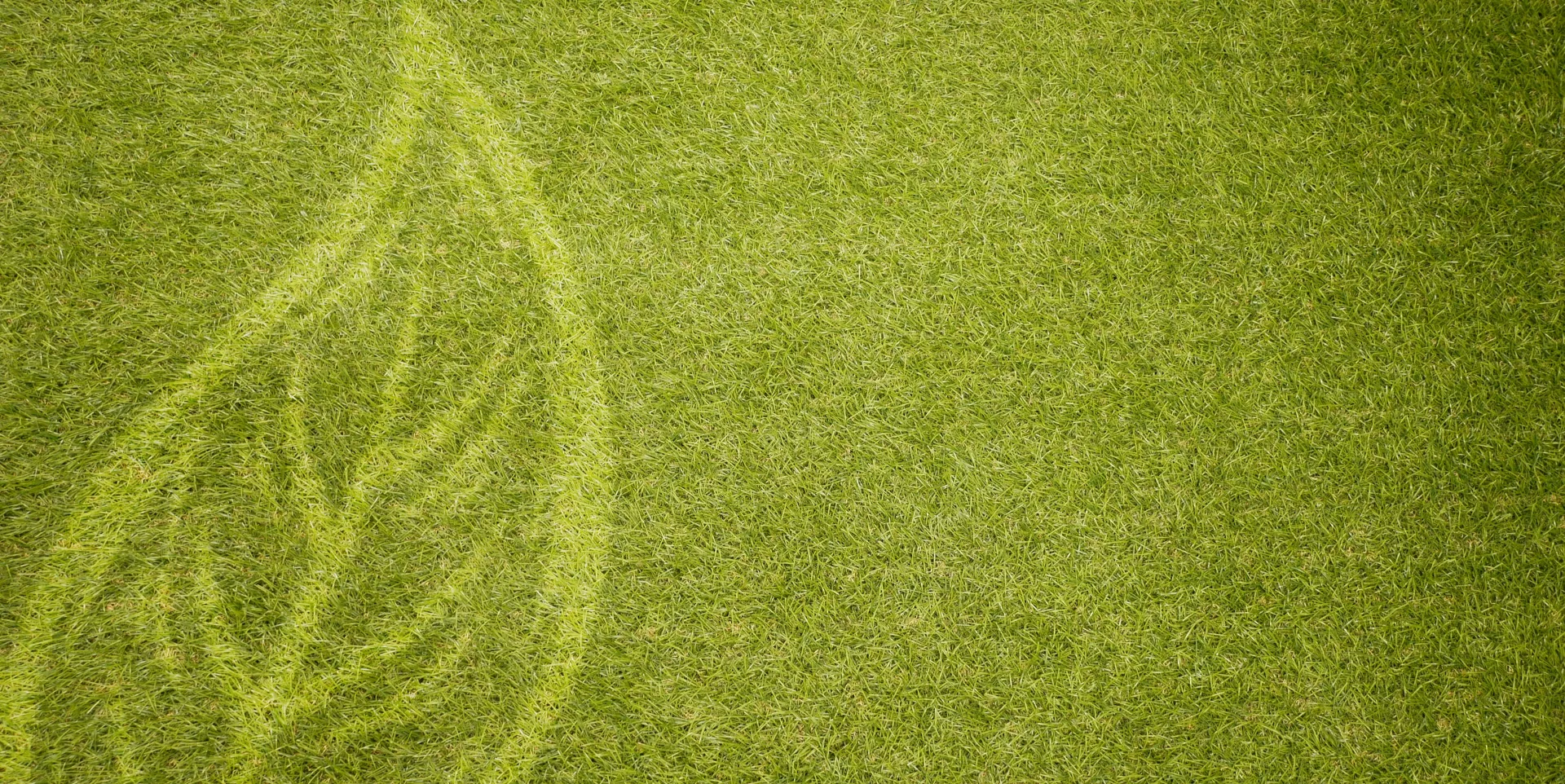 image bg