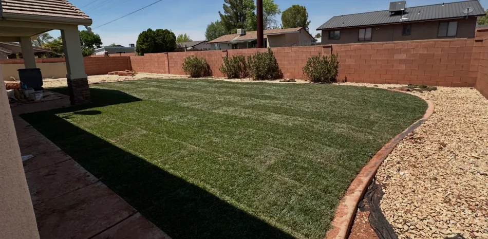 lawn care maintenance